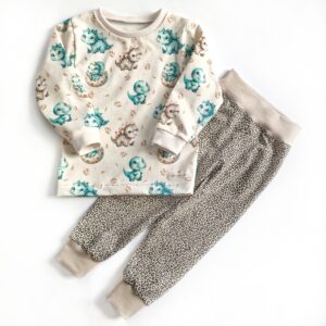 Långärmad t-shirt med dinosaurier + byxor